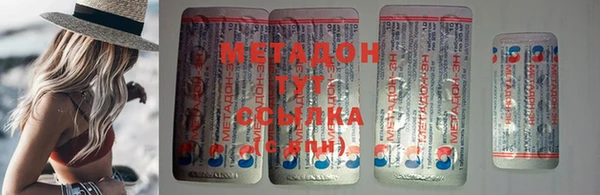 индика Новодвинск