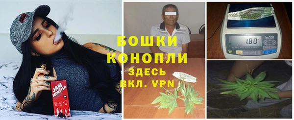 гидропоника Новозыбков