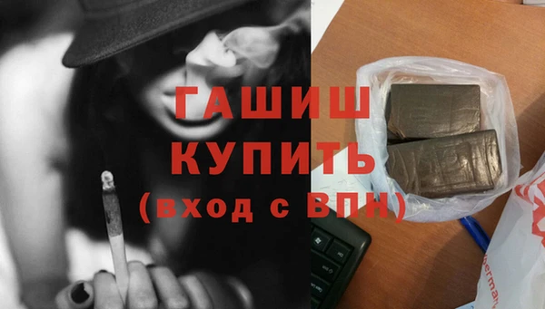 индика Новодвинск