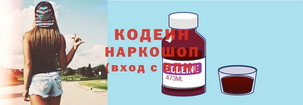 индика Новодвинск