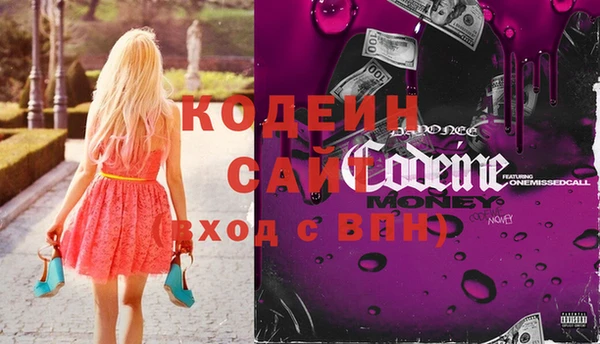 индика Новодвинск