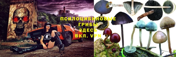 гидропоника Новозыбков