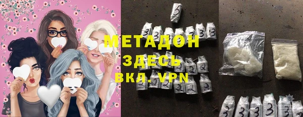индика Новодвинск