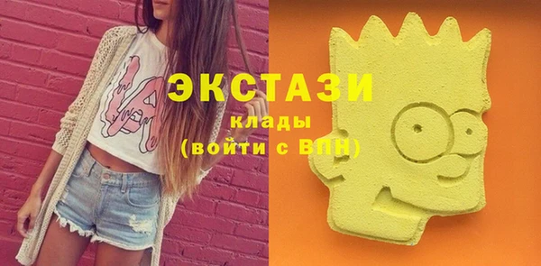 индика Новодвинск