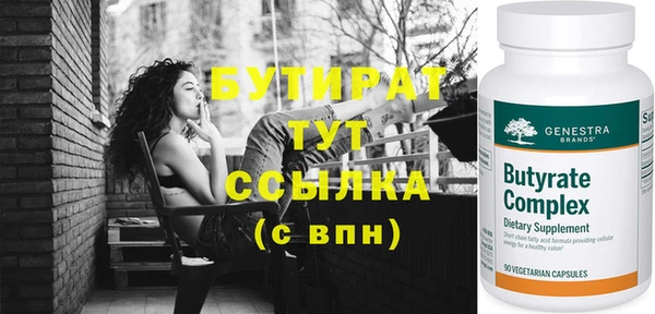 индика Новодвинск