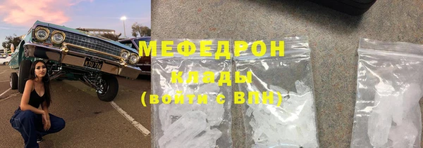 индика Новодвинск