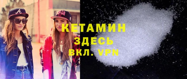 индика Новодвинск
