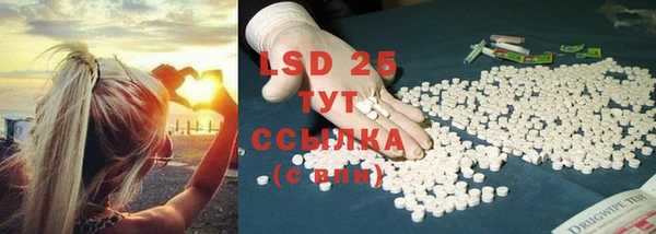 гидропоника Новозыбков
