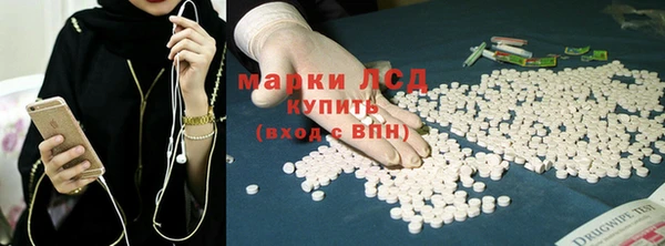 гидропоника Новозыбков