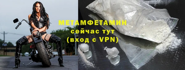 индика Новодвинск