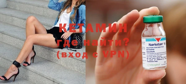 индика Новодвинск